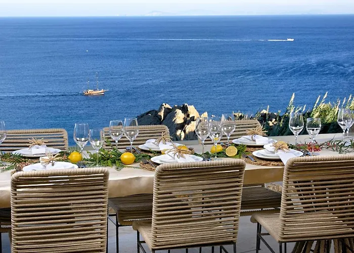 فيلة Serenity Plintri